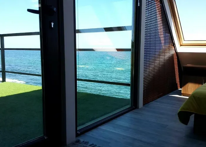 Happy ホームステイ